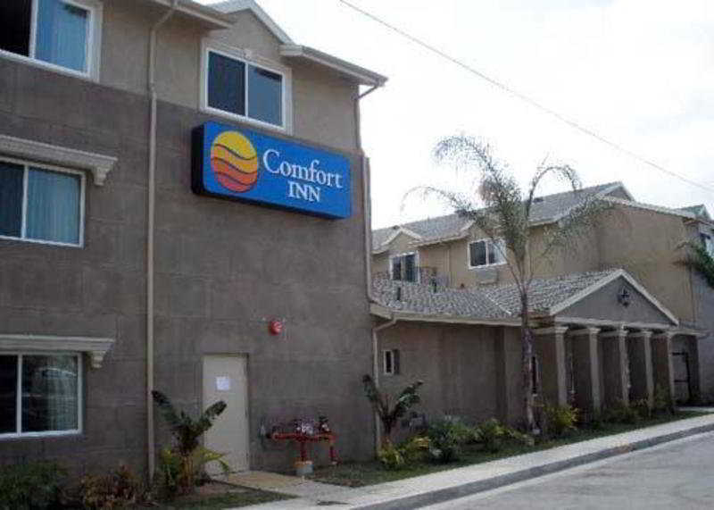 Inn Comfort Cockatoo Near Lax Airport
