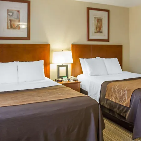 Comfort Inn Cockatoo Near Lax Airport Hawthorne Exterior foto