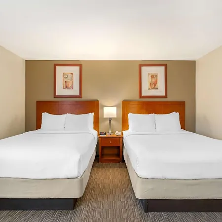 Comfort Inn Cockatoo Near Lax Airport Hawthorne Exterior photo