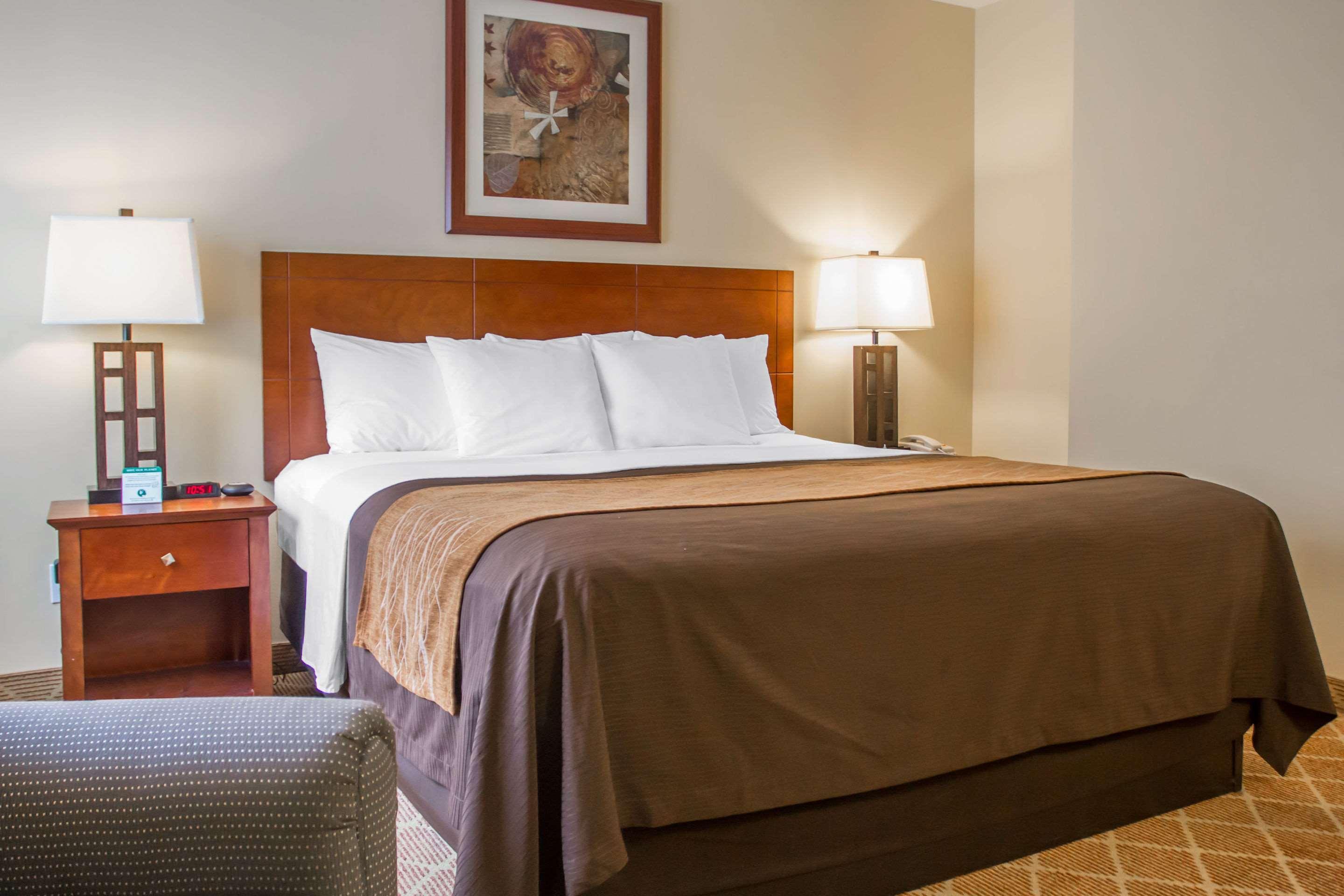 Comfort Cockatoo Near Lax Airport Mini-hôtel 2*