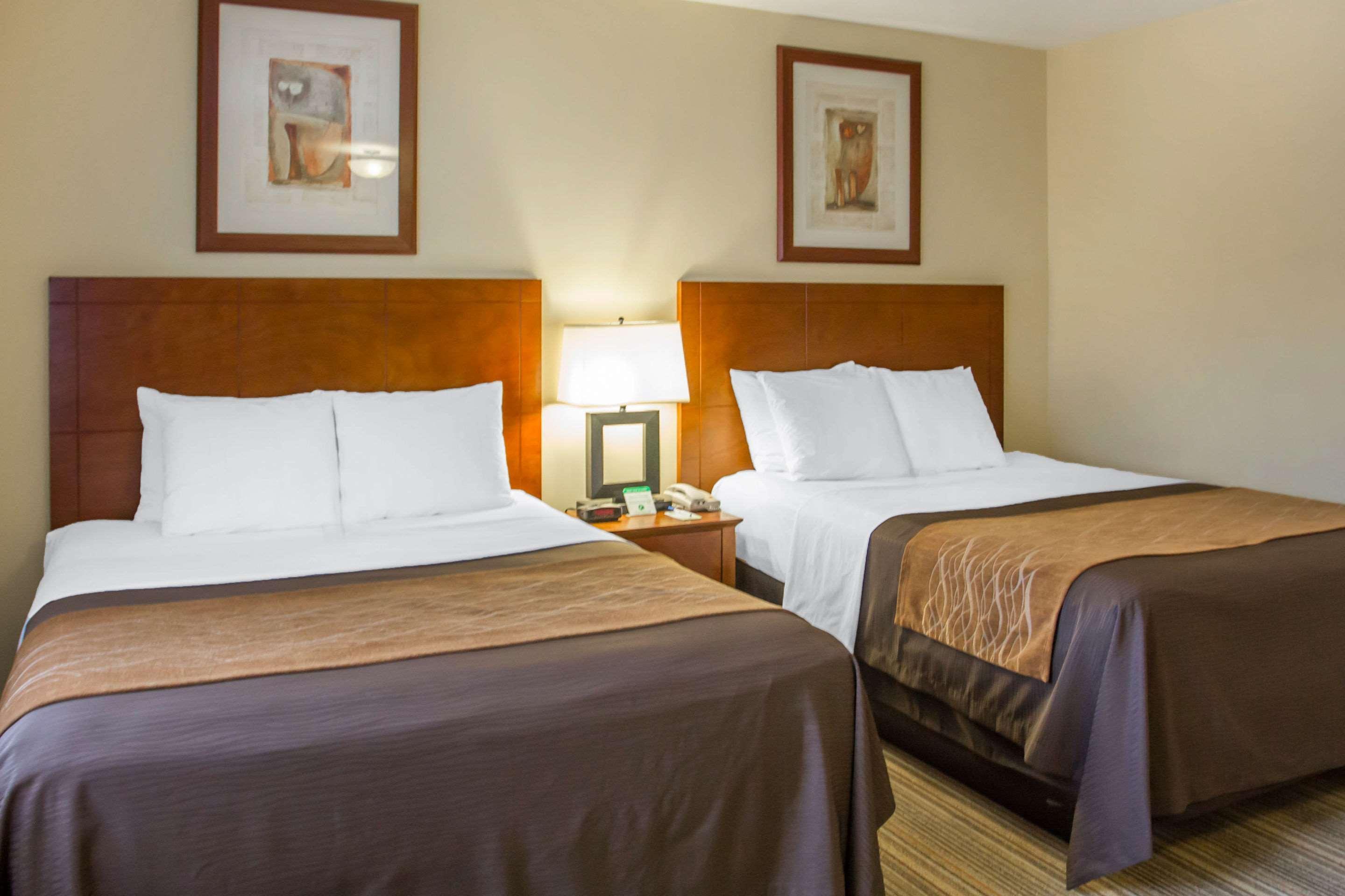 Mini-hôtel Comfort Cockatoo Near Lax Airport Hawthorne