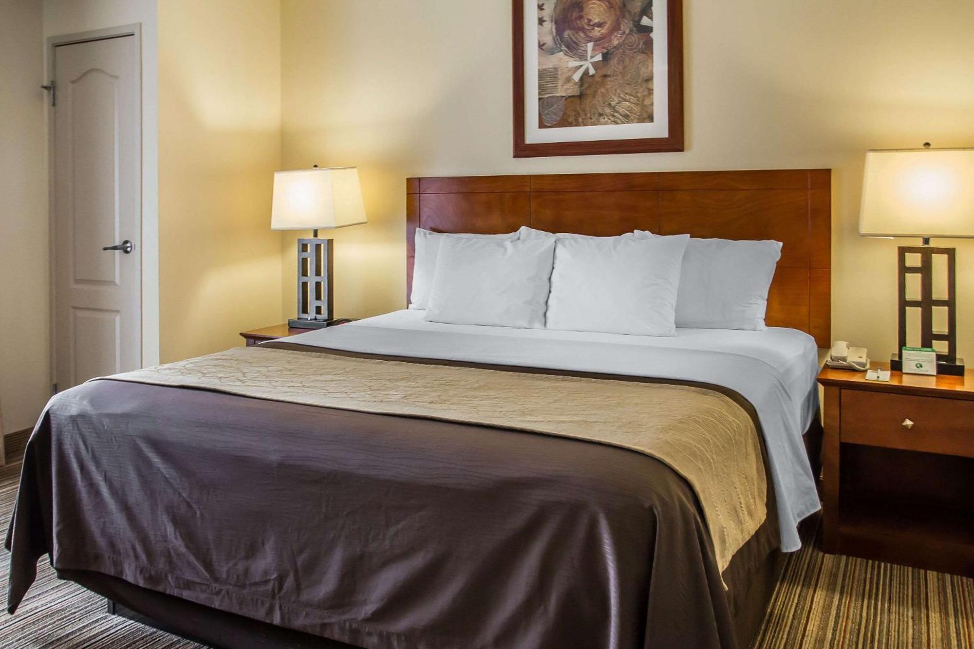 Mini-hôtel Comfort Cockatoo Near Lax Airport Hawthorne