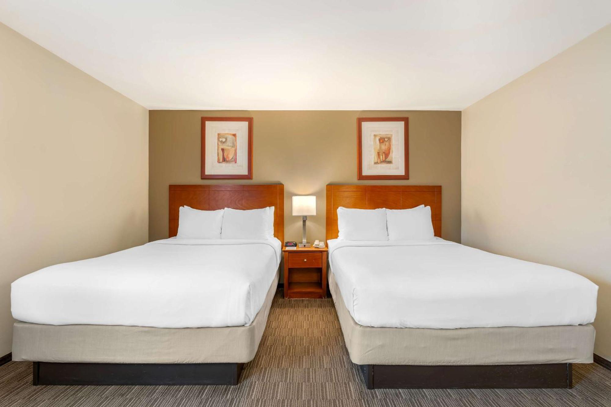 Mini-hôtel Comfort Cockatoo Near Lax Airport