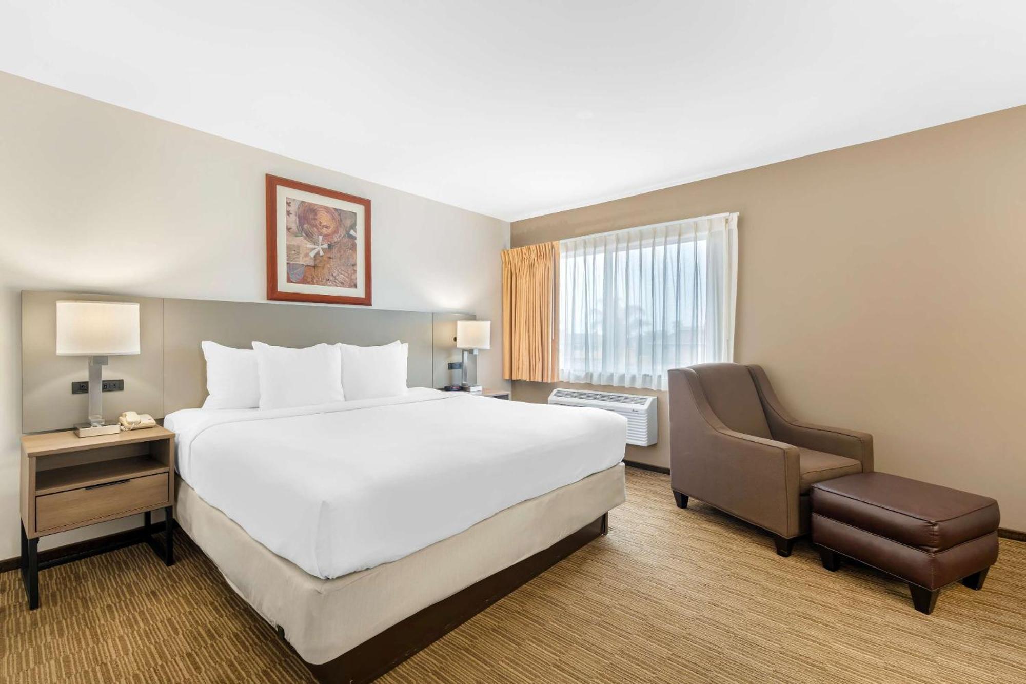 Mini-hôtel Comfort Cockatoo Near Lax Airport Hawthorne