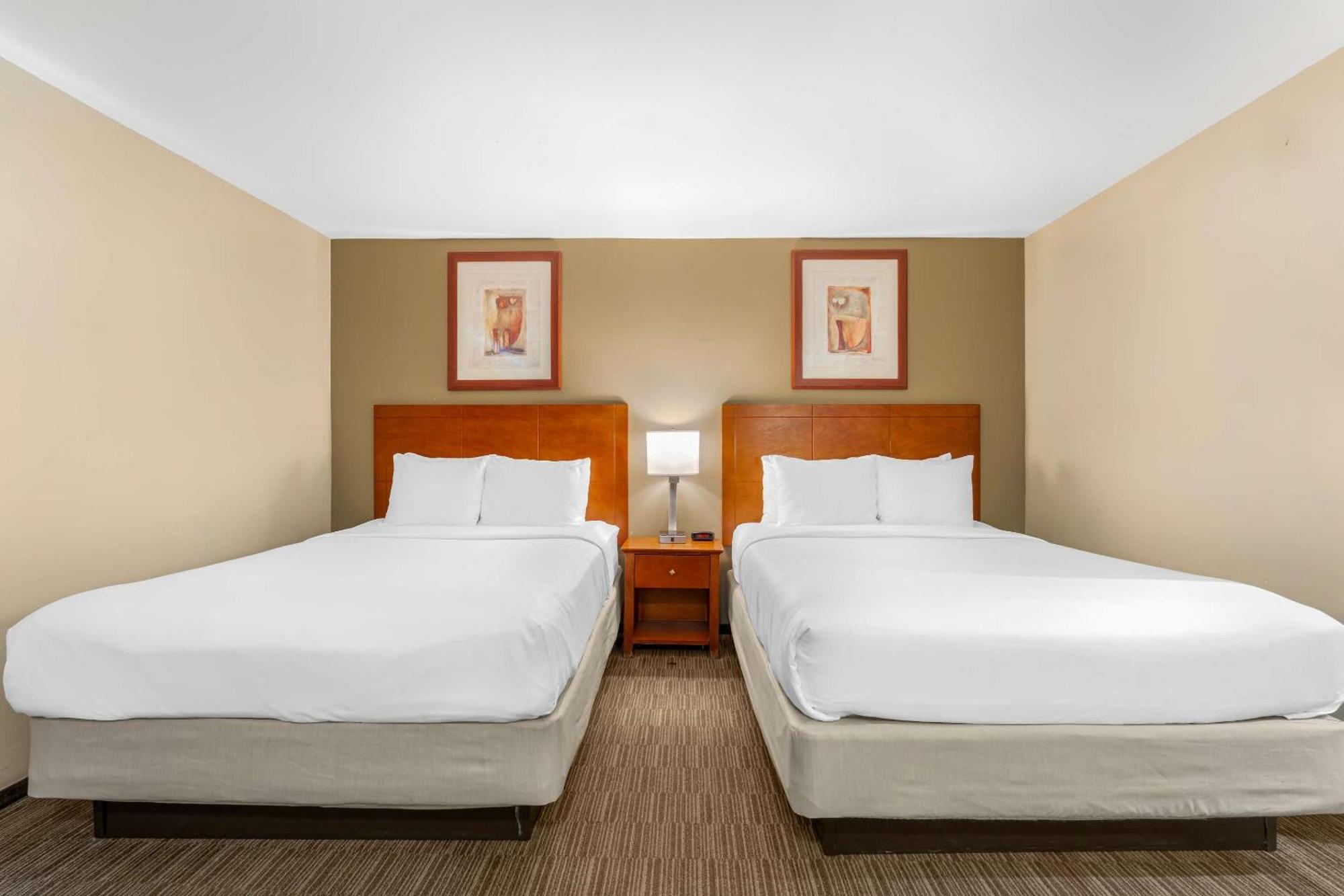 Comfort Cockatoo Near Lax Airport Mini-hôtel